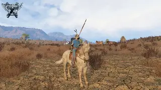 传奇新手不迷路：零氪玩家的逆袭之路，装备、升级、PK技巧全攻略！